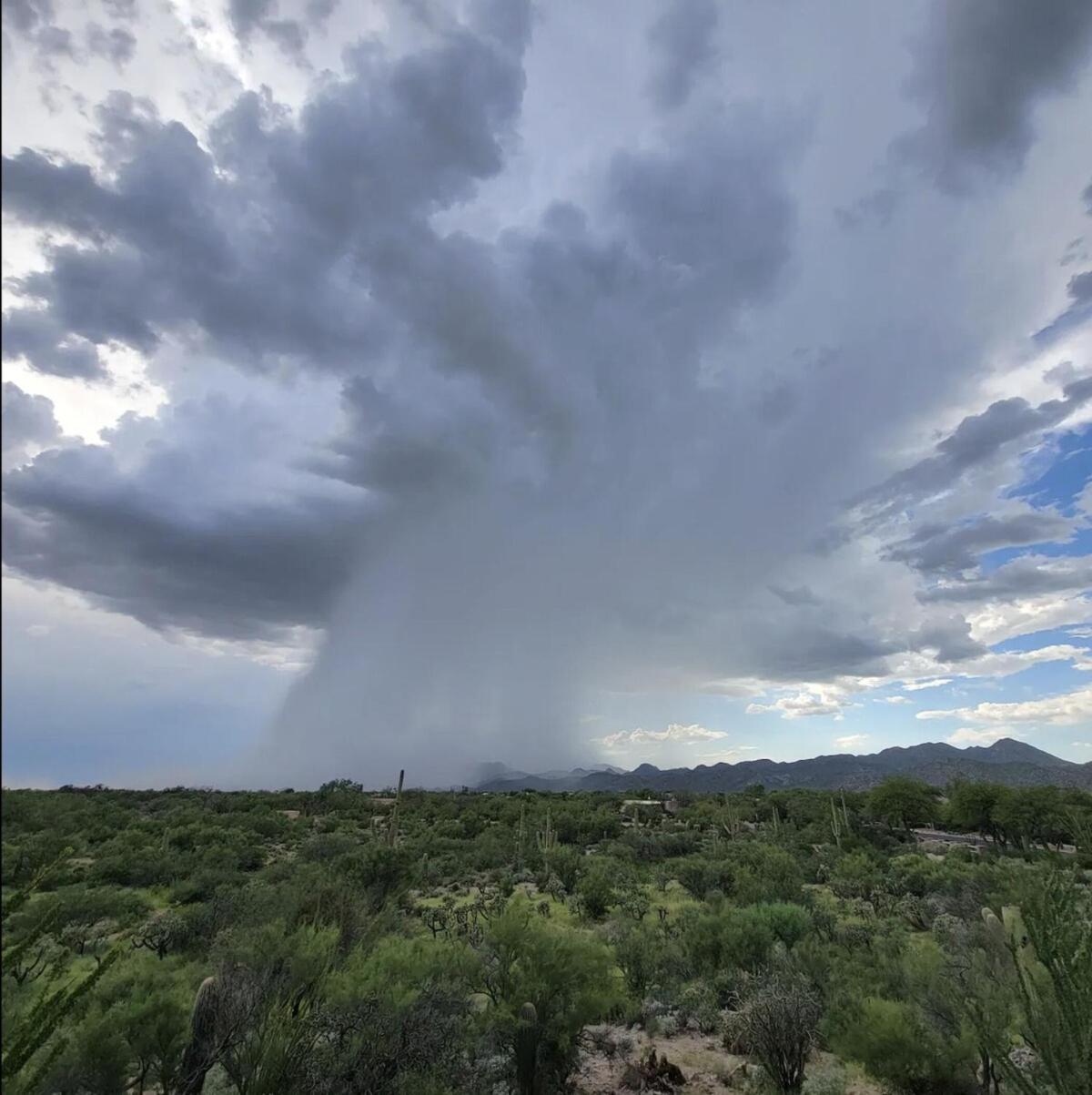 Luxury 3Bd 2Ba Home Near Tucson With Desert Views - Low Summer Rates! Оро Вэлли Экстерьер фото